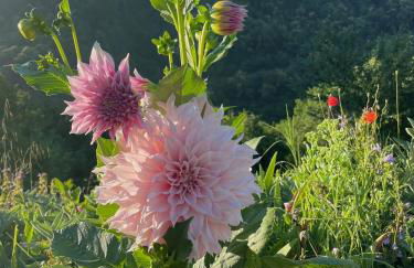 Leon Morto - Foto 39