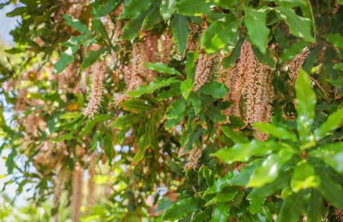 Nature Inspired Villa Designed for Wellness - Foto 88