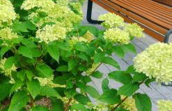 New Apartment Wroclaw Parking FREE & self check in 24h Apartament TARAS Miedziana - Photo 24