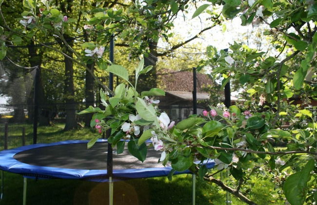 Ferienhaus am Eichenhof Zum Speicher - Foto 6