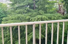 Pause Chézine - Foto 21