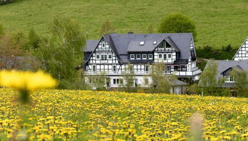 Rübenkämpers Ferienwohnungen - Foto 2