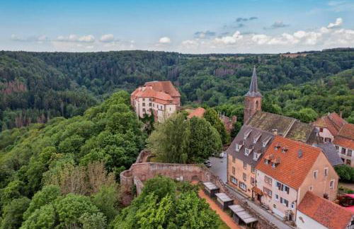 Maison Privilège Nature à La Petite Pierre - Foto 18
