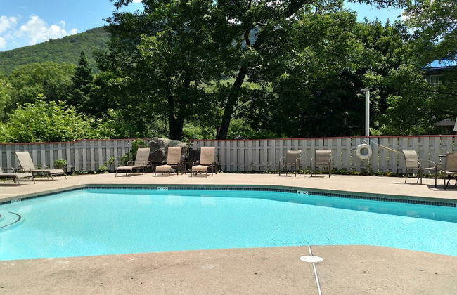 Loon Escape - Photo 22