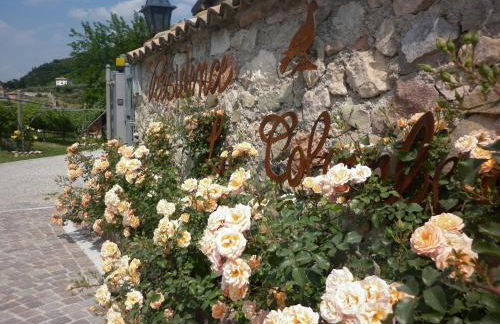 Residence La Colombera - Foto 54