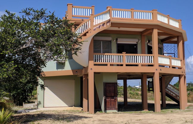 Savannah Sand Dollar - Foto 1