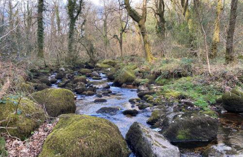 South Devon Holiday Retreat - Entire House - Family & Pet Friendly - Foto 36