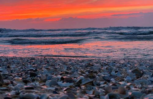 Beach House Retreats 6-just 30 Steps from the Beach with Rooftop Hot Tub and Gourmet Kitchen - Foto 22