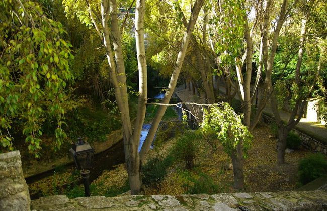 Vivienda Rural Rio Cerezuelo - Photo 32