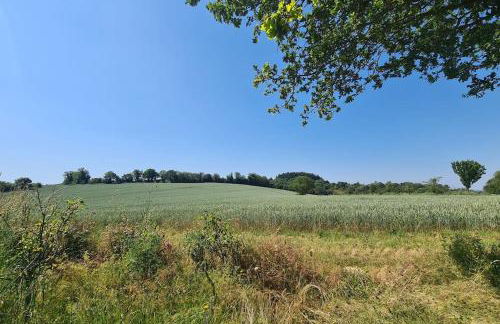 Gîte Le Puy Martineau piscine privée intérieure chauffée terrain arboré à 10 min du Puy du Fo - Foto 37