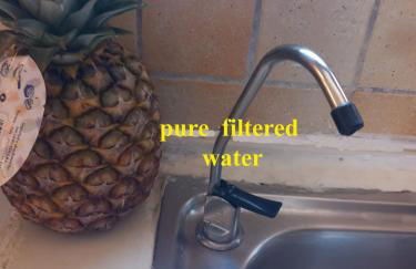 Fox's Sunshine - Foto 36