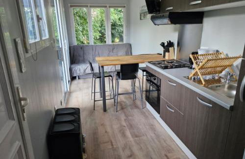 La Cabane du bois l'abbé - Foto 11