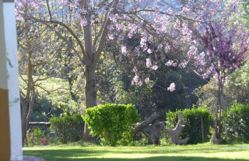 Batán de las Monjas - Foto 44