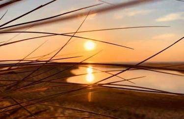 Moliets Plage Appartement pour 4 Piscine proche Plage et Commerces - Foto 2