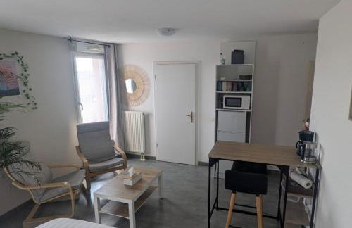 Appartement cosy, calme et lumineux à Strasbourg - Foto 4