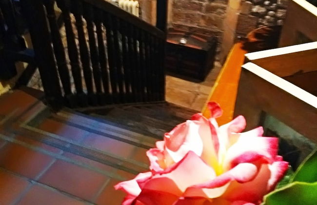 Posada Somavilla - Foto 21