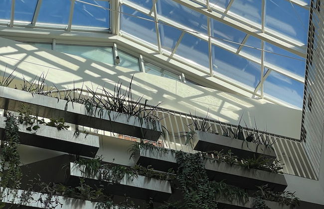 Mana Suites & Sea SPA - Photo 35