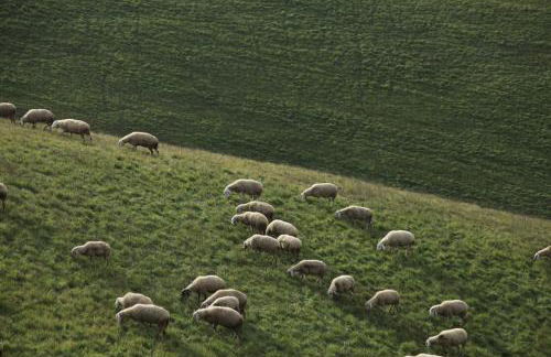 Casa San Martino - Foto 32