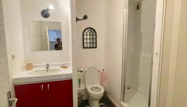 Toulouse Grand T2 Pont des Demoiselles - Foto 2