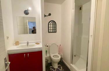 Toulouse Grand T2 Pont des Demoiselles - Foto 2