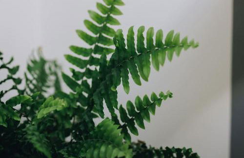 'The Studio' Designer, seaside cottage - Foto 26