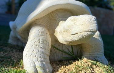 Casa Avellana - Photo 31