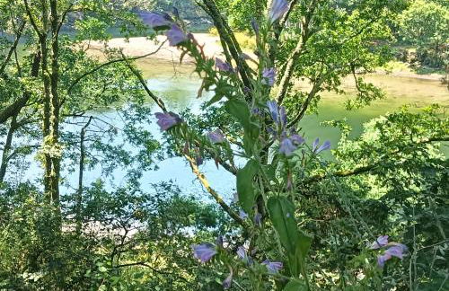A Parrula, Mar, río y montaña - Foto 30