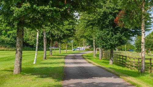 Tredodridge Barn Retreat - Foto 5, Garden, Garden view