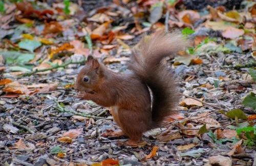 1 Bed in Hawes oc-94120 - Photo 26