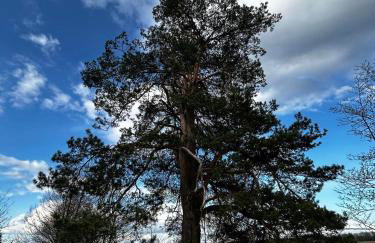 Chatka Baby Agi - Foto 29