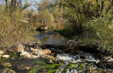 Las Gavias - Foto 12