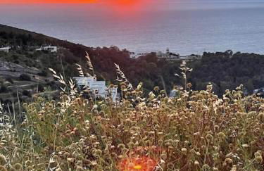 Patmos Horizon - Foto 45