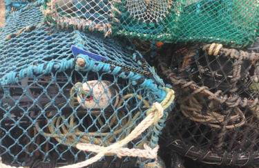 The Hollies, Dorset - Foto 41