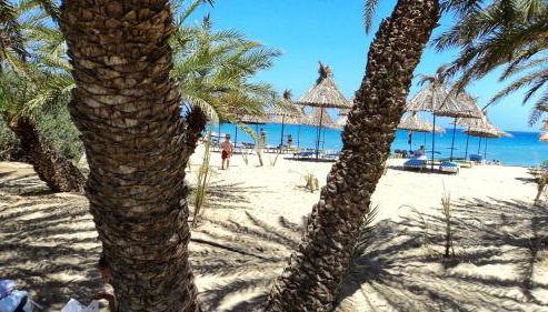 Comfort House Mimosa 2 - Foto 3