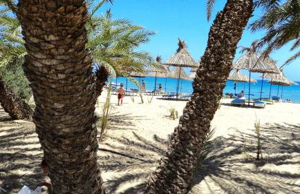 Comfort House Mimosa 2 - Photo 3