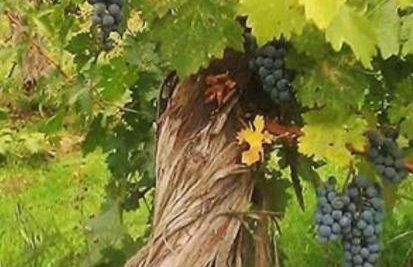 Old house by the stream - Photo 26