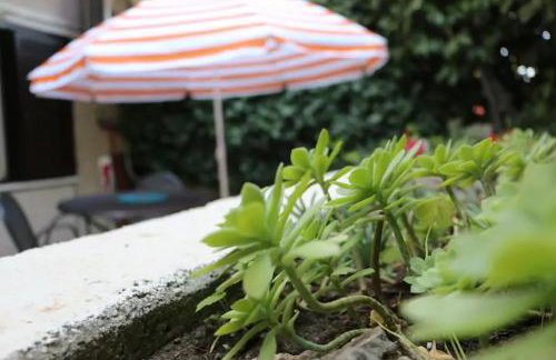 Apartman Spinut & Marjan - Foto 9