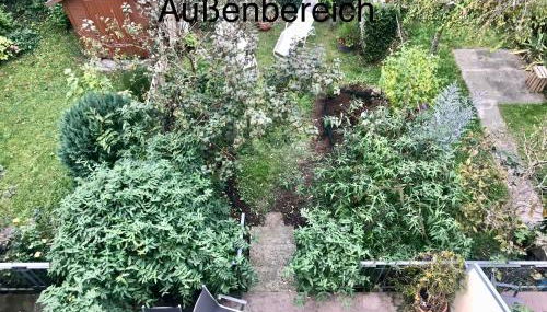 Haus Schönwald - Foto 4, Garden, Garden view