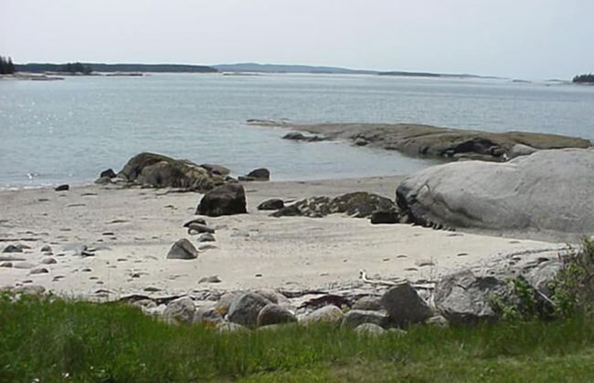 Geary House at Fifield Point - Photo 19