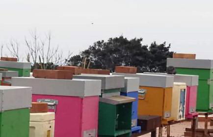 Agriturismo SoleMare - Foto 24