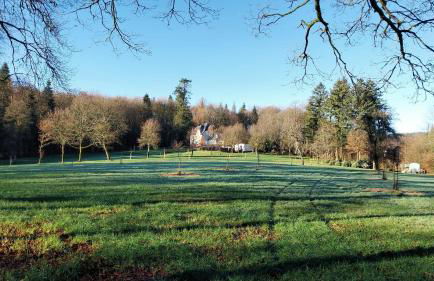 Forsthaus Hausbach Ferienwohnung Reh - Foto 17
