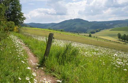 Ferienhaus am Südwall links - Foto 40