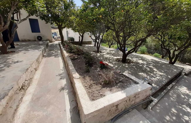 Diamoni Afroditi - Photo 21