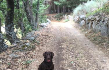 Mi Casita de Gredos - Foto 43