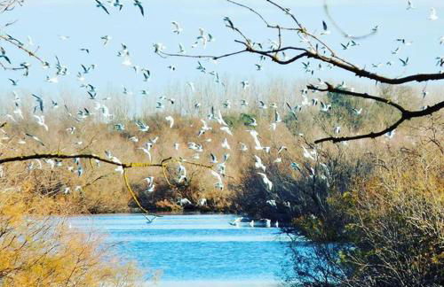 Un coin de campagne à 4km de la mer pour 4 à 6 personnes - Foto 29