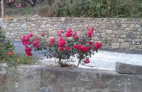 Traditional House Koukounara - Foto 48