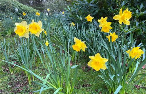 Lovely Carlung House - Foto 23