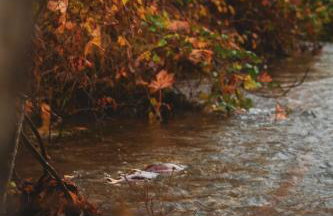 Whitehorse Mountain Retreat - Hot tub - Fireplace - Foto 6