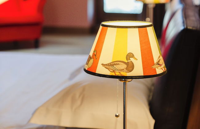 Tenuta Borgo Santa Cecilia - Photo 20