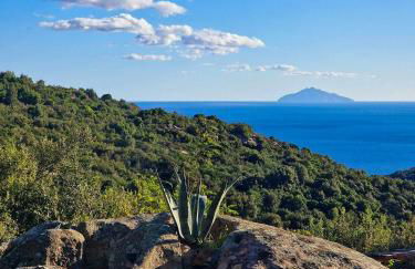 Sea View House Among Holm Oaks On Elba - Photo 35